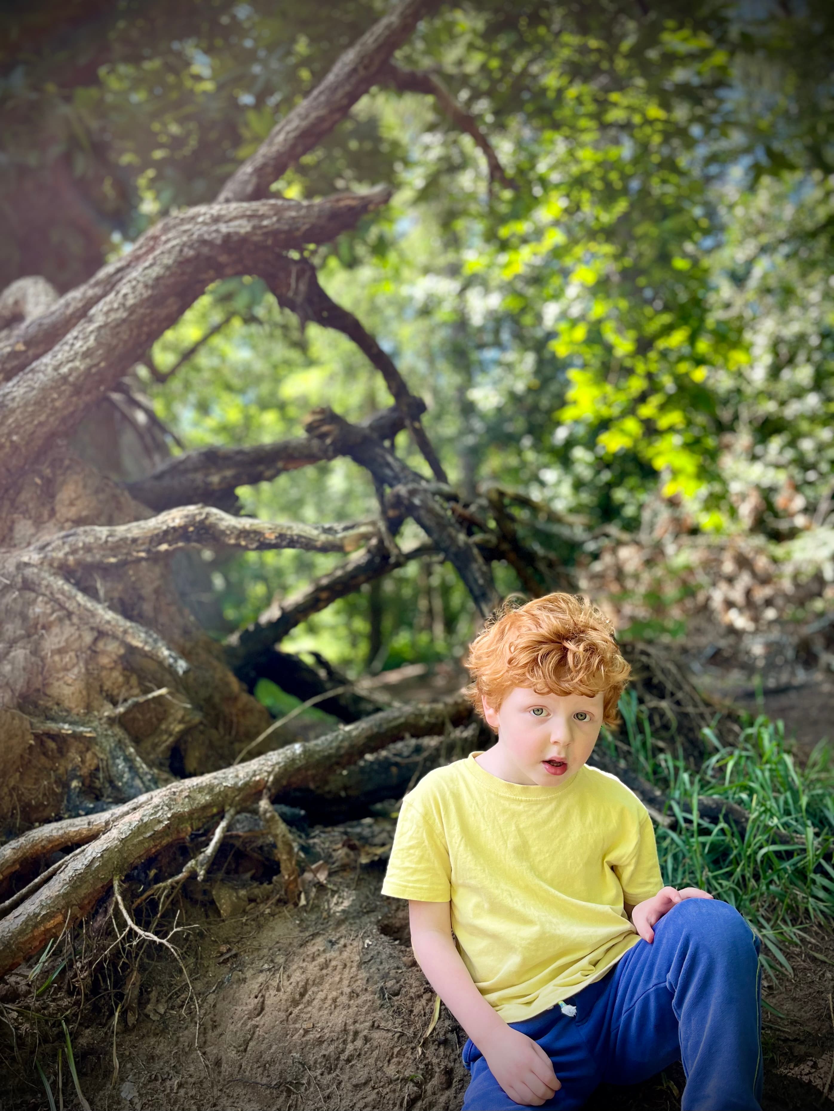 A pre-school child sat in the woods looking at the camera
